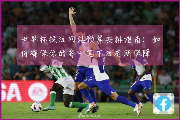 世界杯投注网站预算安排指南：如何确保你的每一笔下注有所保障