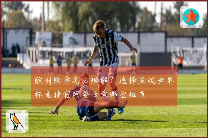 欧洲赔率怎么理解?选择正规世界杯竞猜官网要注意哪些细节