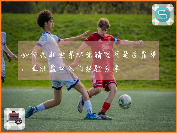 如何判断世界杯竞猜官网是否靠谱,亚洲盘口入门经验分享